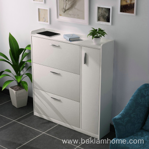 Modern shoes cabinet with door